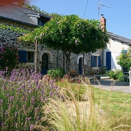 Murmures De Loire Montjean-sur-Loire Zewnętrze zdjęcie