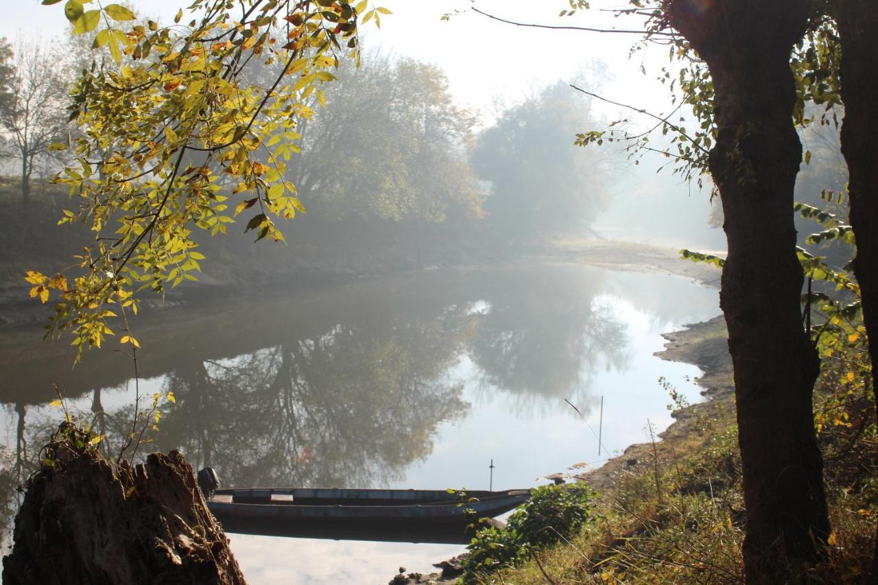 Murmures De Loire Montjean-sur-Loire Zewnętrze zdjęcie